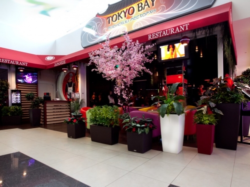 Tokyo Bay / Токио Бэй