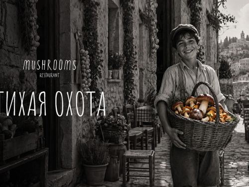 Главный грибной сезон в Mushrooms